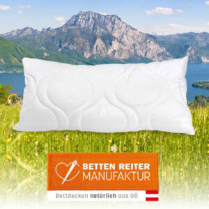 Reiter Polster Cool