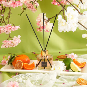 KAYORI Diffuser 100 ml