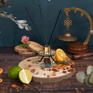 KAYORI Diffuser 100 ml