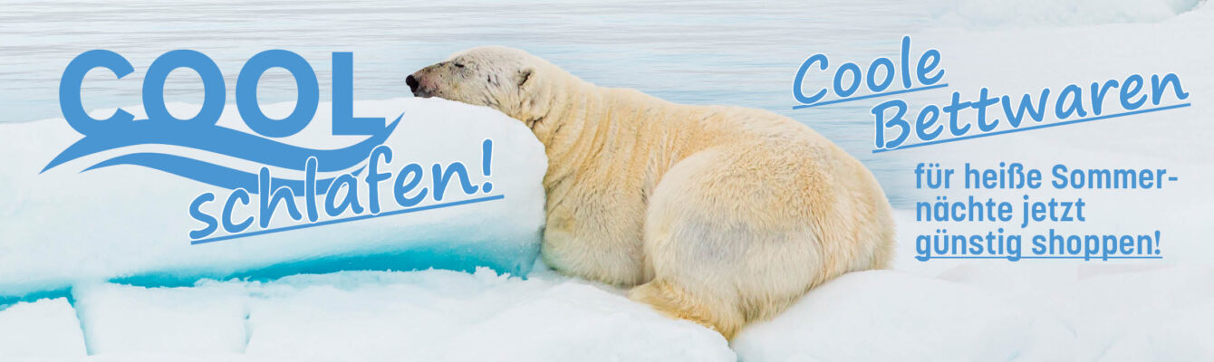 Slider_Cool_Eisbär