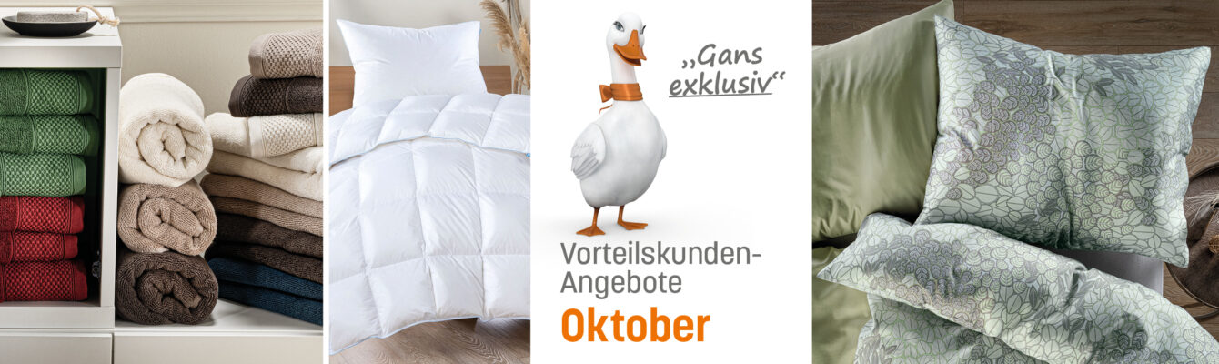 VOKA-Slider_Oktober_2025vohranneu