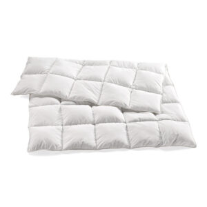 Wildenten-Daunendecke