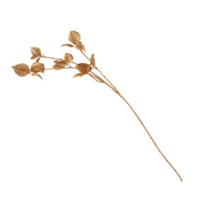 Goldzweig Mosaikpflanze