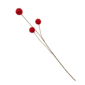 Kugelbeere rot, ca. 81 cm