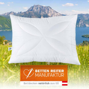 Reiter Polster Aloe Vera