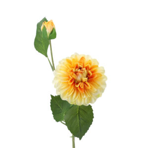 Dahlie gelb, ca. 61 cm