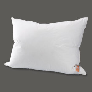 Weidegansdaunenpolster