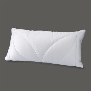 Reiter Polster Aloe Vera